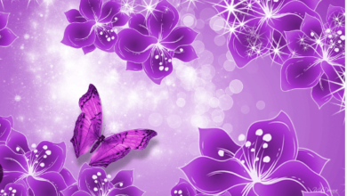 Cute:_757rbppozw= Purple:Xv5caubxeow= Wallpaper