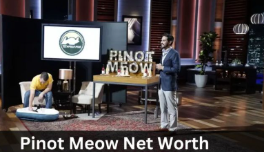 Pinot Meow Net Worth 2023: Cat Wine Brand's Value