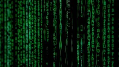 numerical sequence analysis provided